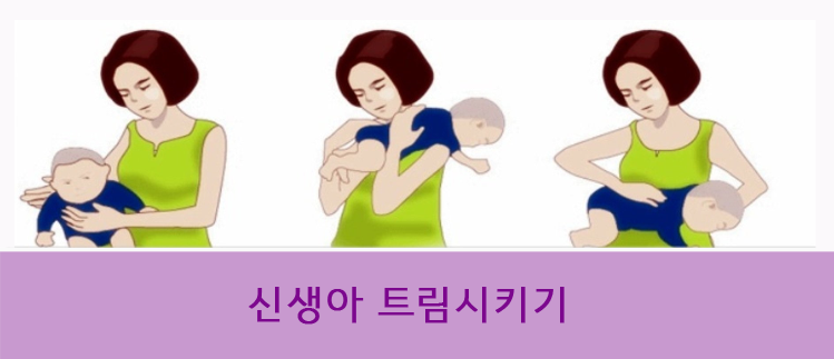 신생아 트림시키기 자세 그림