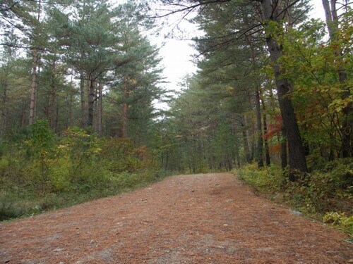 숲나들이E 예약