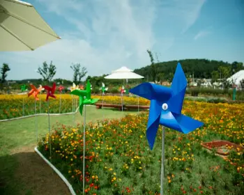 무안 연꽃축제_4