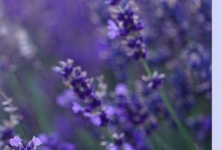 6월 국내 여행지 추천