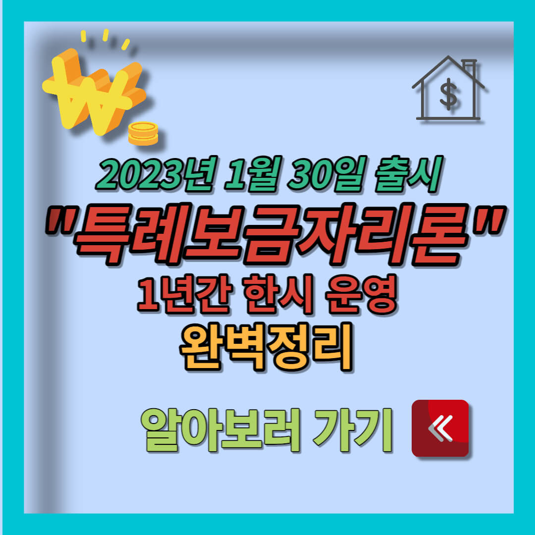 특례보금자리론 (12)