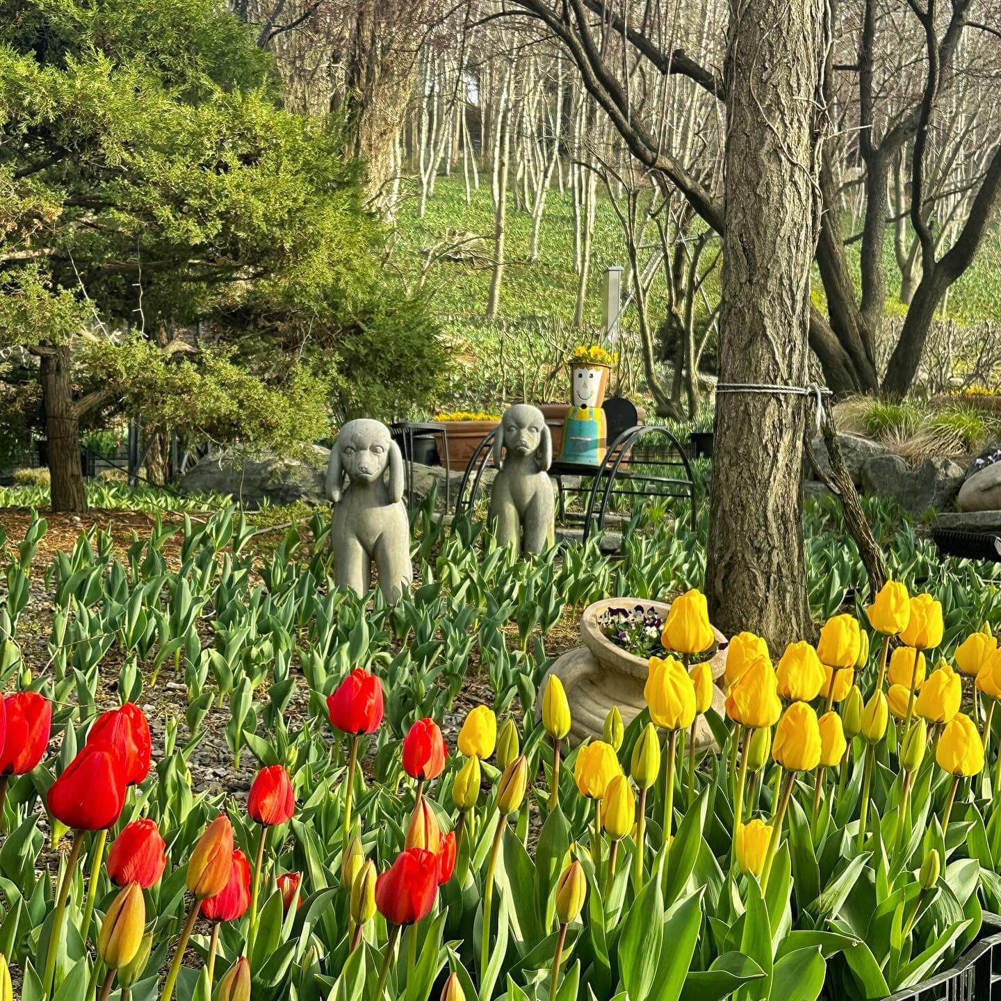 억만송이 봄꽃대향연 튤립 수선화 축제