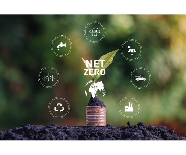 탄소중립포인트제 신청법, 절약이 포인트가 된다