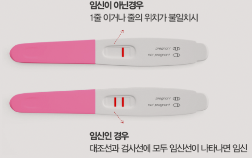 임신 테스트기 올바른 사용법
