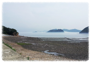 소난지도