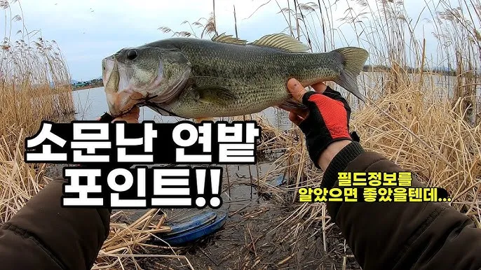 낚시 필드 테크닉 강풍 파도 입질 대응 채비 운영법_3
