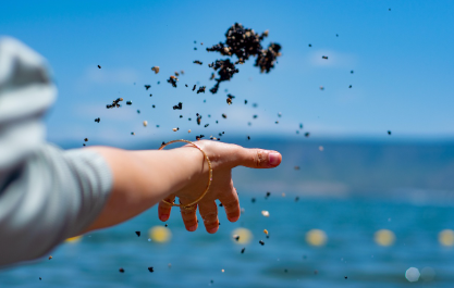 흙을 바다에 던지는 손