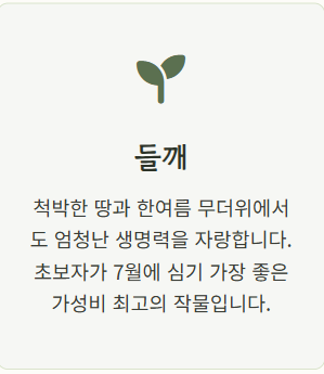 7월에 심는 밭작물