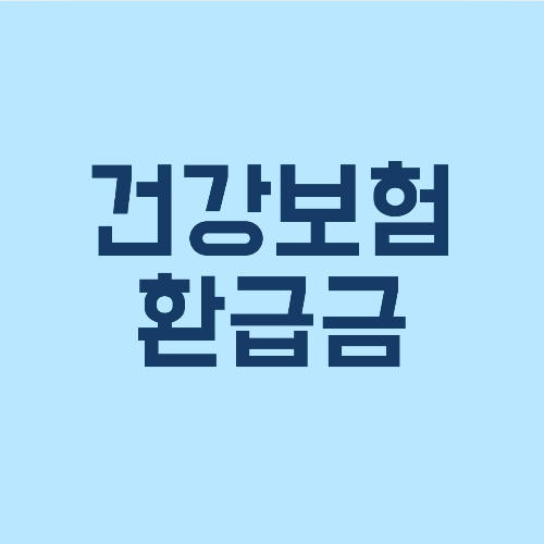 국민건강보험 환급금
