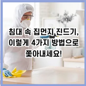 침대 속 집먼지 진드기, 이렇게 4가지 방법으로 쫓아내세요!