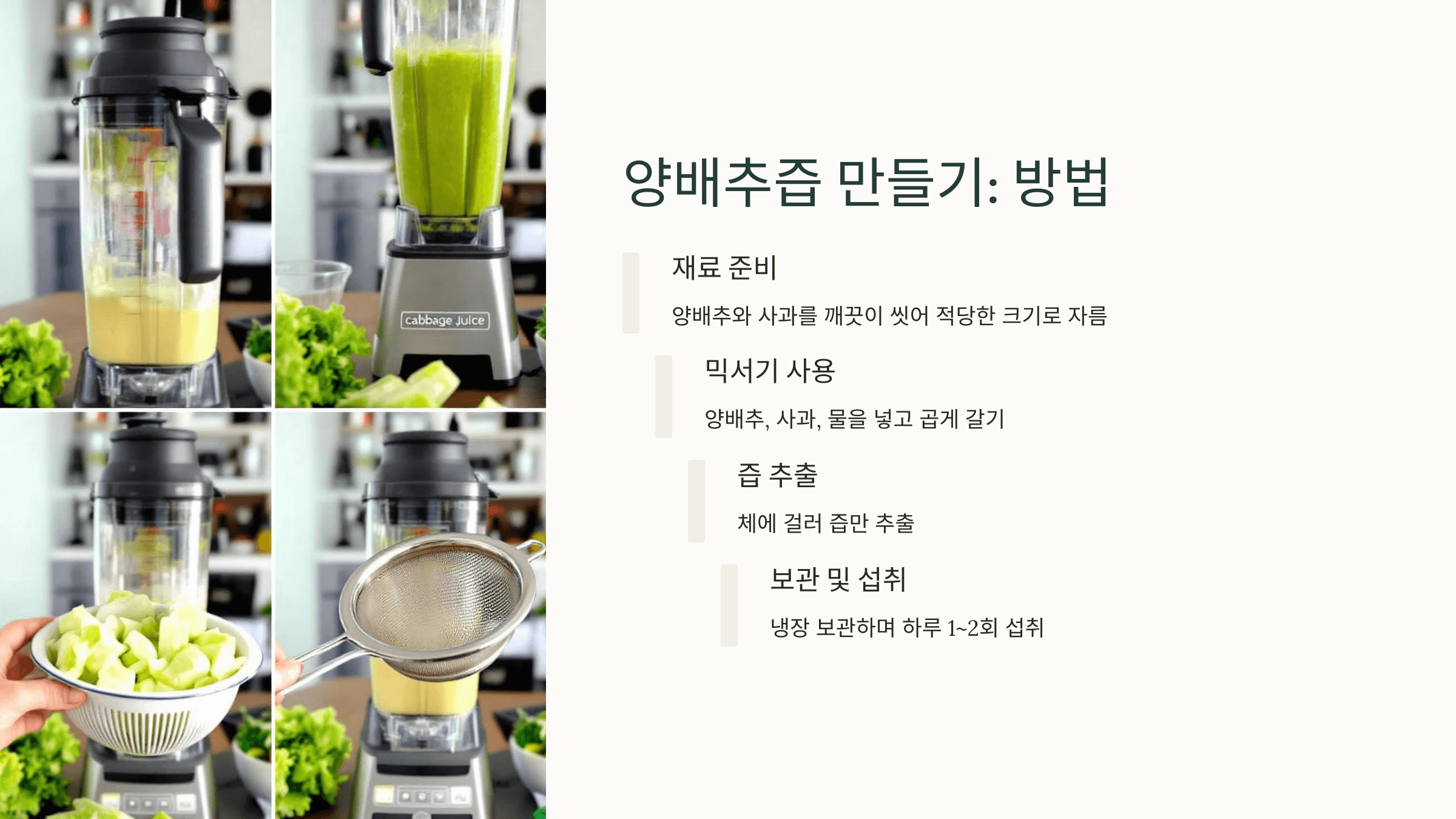 양배추 사진입니다.