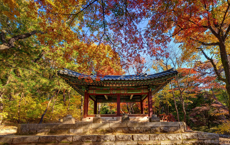 창경궁 물빛연화