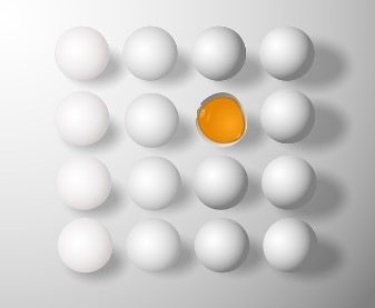 살모넬라 식중독 증상부터 예방법&amp;#44; 대처법