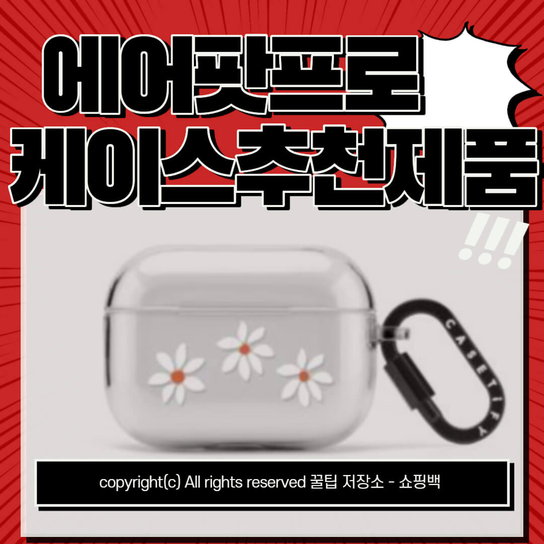 에어팟 프로 케이스 추천 : 케이스티파이 후기
