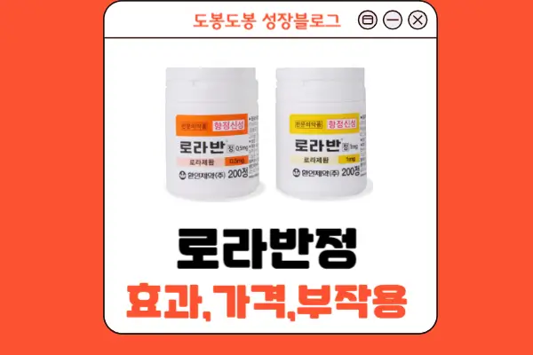 로라반정 안내 이미지