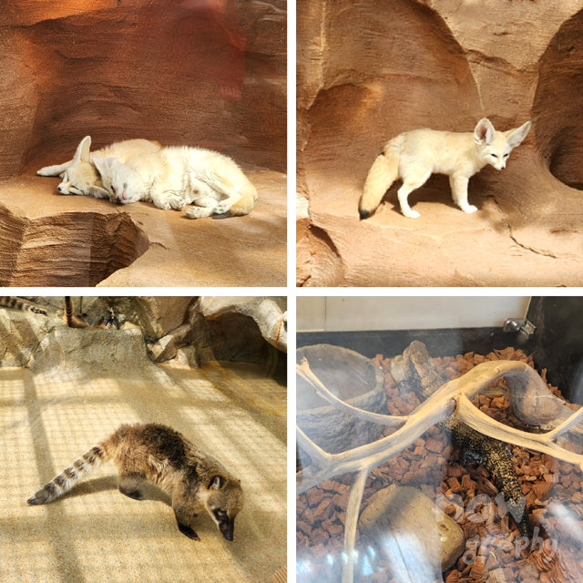 아산시-생태곤충원