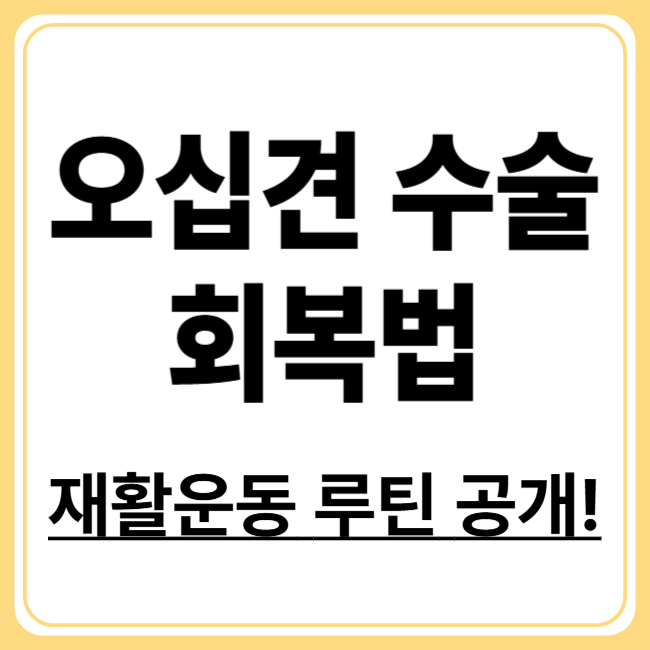 오십견 수술 후 회복 관리! 빠른 회복을 위한 필수 사항