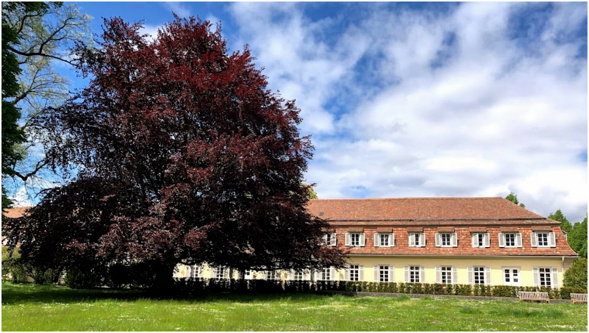 독일의 호헨하임 대학교