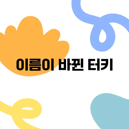 이름이 바뀐 터키, 튀르키예와 수도의 관계