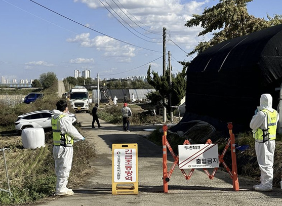 5번째 럼시프킨병 확진