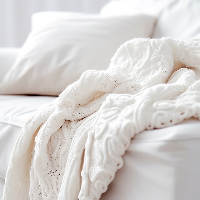 청년월세 특별지원 지원내용