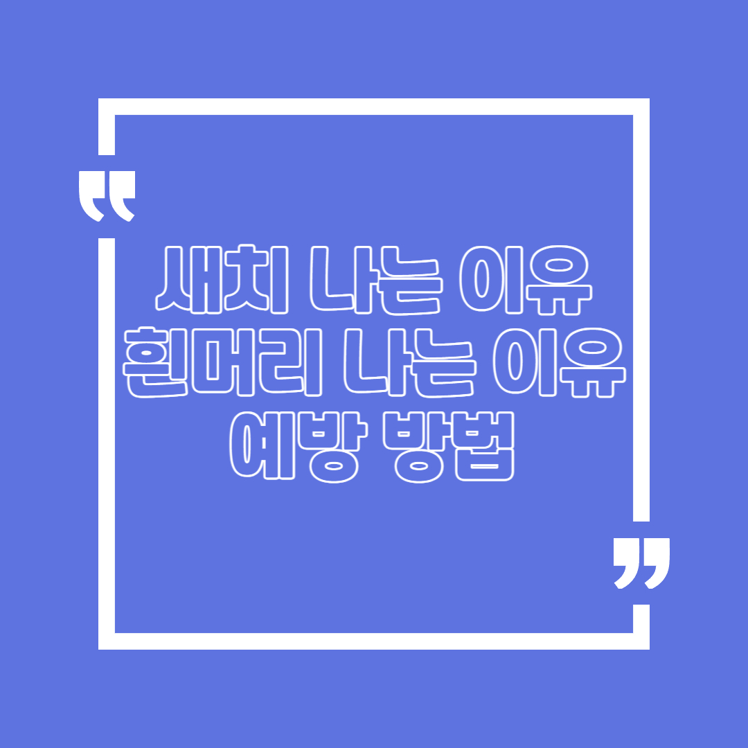 새치 나는 이유 뽑으면 안되는 이유 예방법