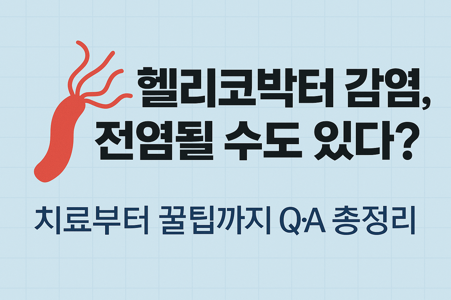 헬리코박터 감염, 전염될 수도 있다 치료부터 꿀팁까지 Q&amp;A 총정리