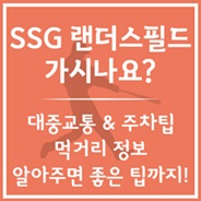 SSG랜더스필드 응원 꿀팁
