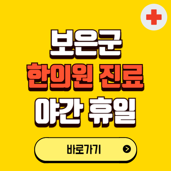 보은군 야간 휴일 한의원 한방병원 찾기 ❘ 24시 일요일 주말 연휴 응급진료 추천 잘하는 곳