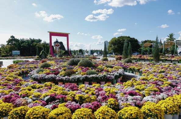 2025 고양 꽃 축제 & 고양 여행 가이드 – 일산호수공원 봄·가을 꽃박람회 총정리