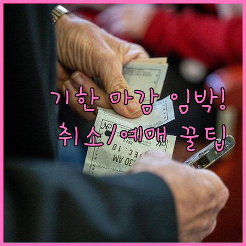 청년문화예술패스 사용 기한 확인 및 ..