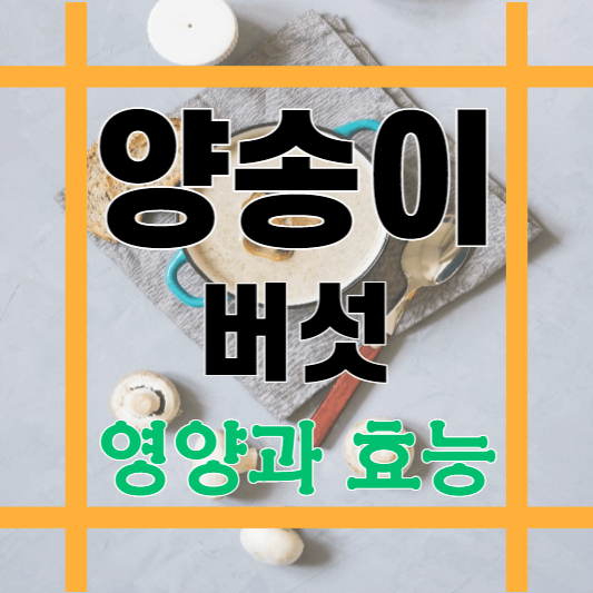 양송이버섯에 관련된 포스팅임을 알려주는 썸네일