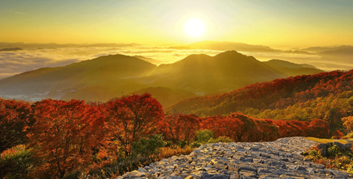 계족산 황토길(황톳길)