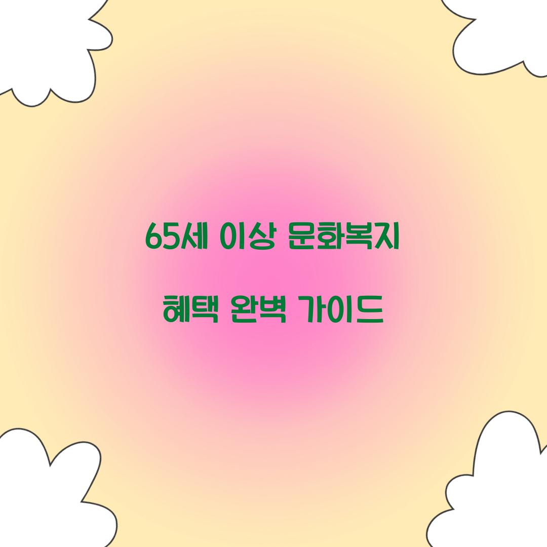 65세 이상 문화복지