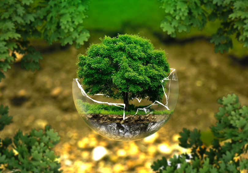 보이지 않는 경고, 우리의 일상에 스며든 환경오염