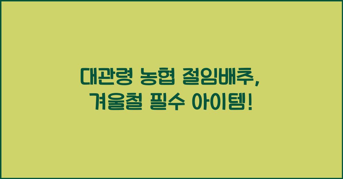 대관령 농협 절임배추