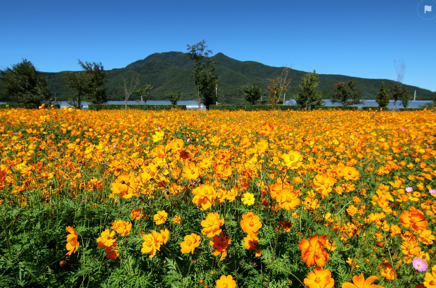 남양주 감성 여행코스 추천 (2030 핫플 총정리 관련사진.