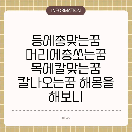 등에총맞는꿈 머리에총쏘는꿈 목에칼맞는꿈 칼나오는꿈 해몽을 해보니