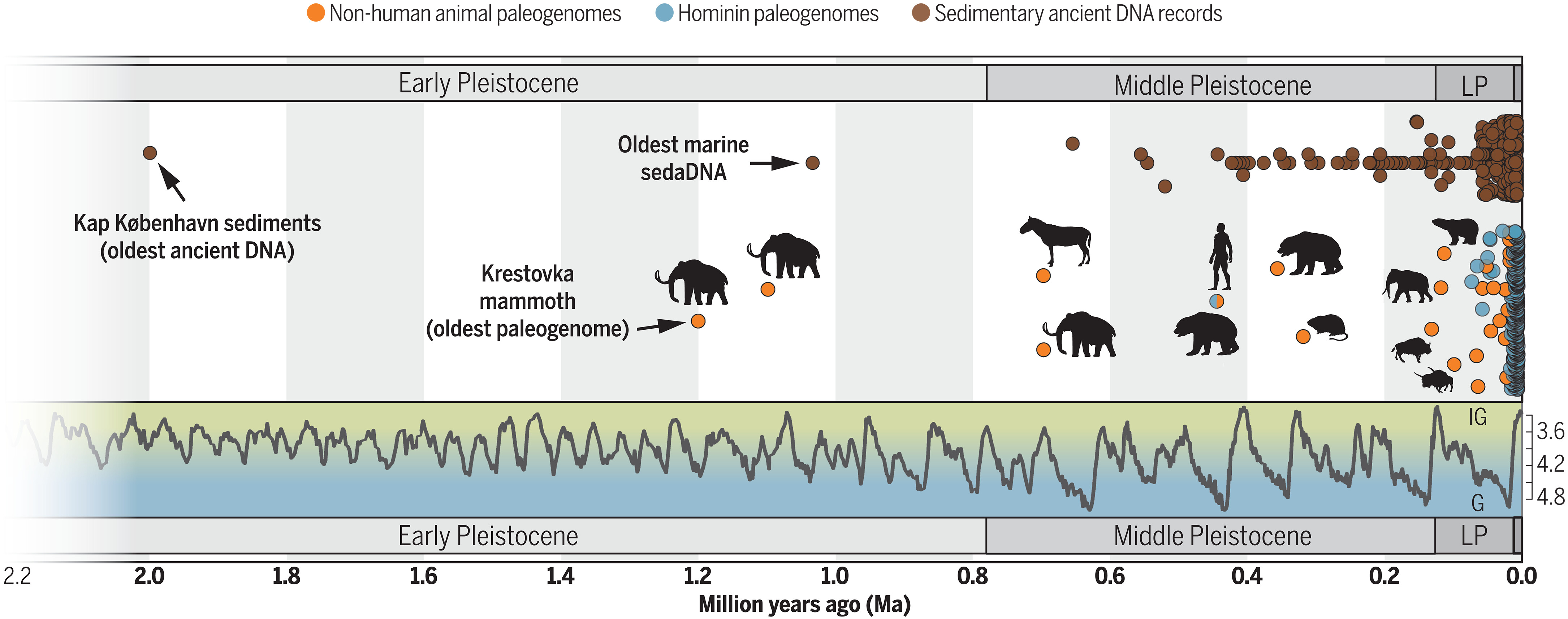 paleogenomics
