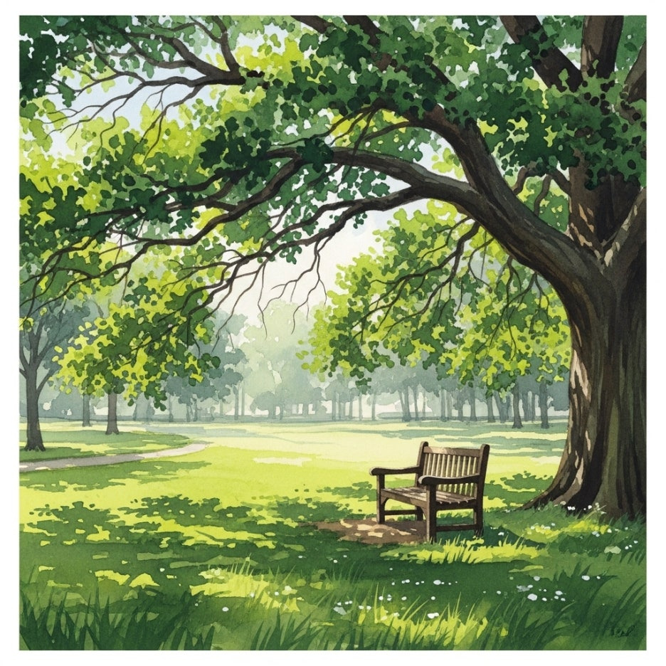 큰 나무 아래 벤치가 있는 평온한 공원 풍경