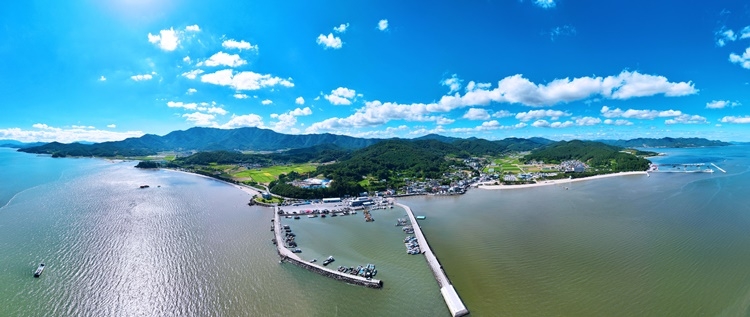 2025 보성 다향 대축제(5/2~5/6), 보성에서 피어나는 천년차의 약속