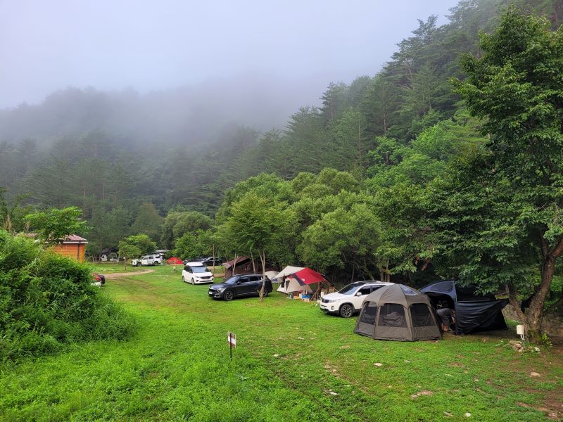 금강송캠핑장_전경