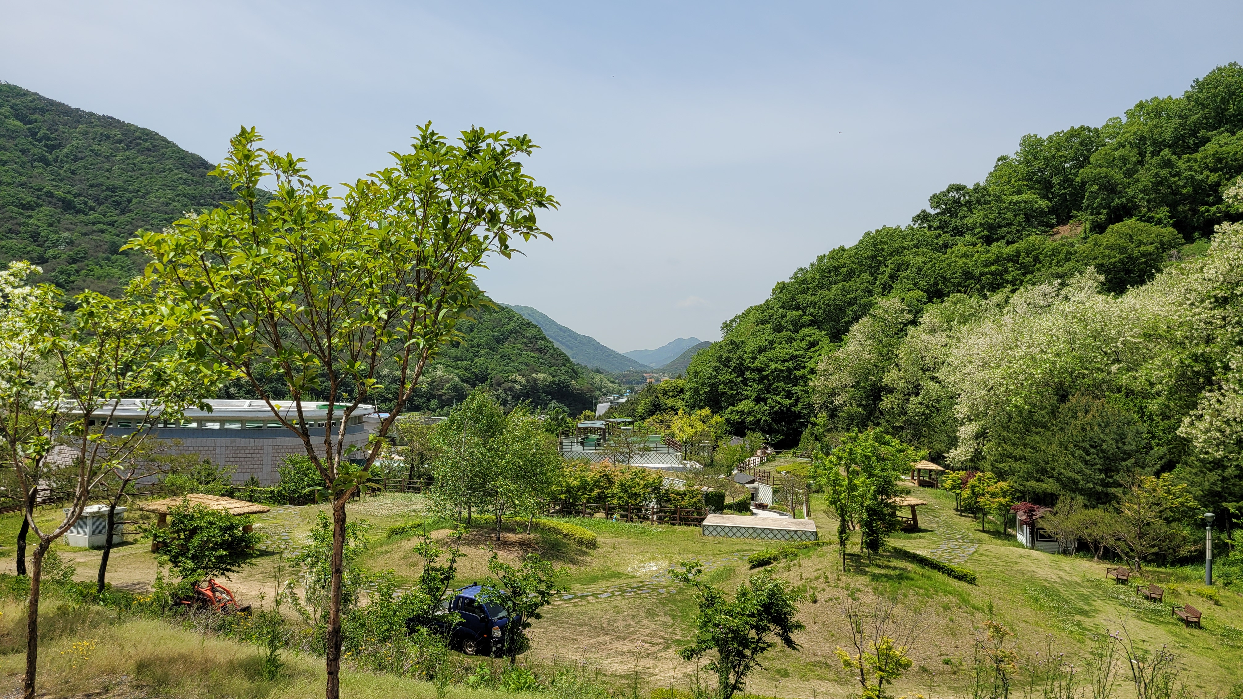 에코랄라 수목들