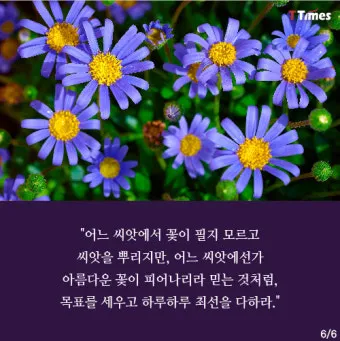성경 룻기 4장 해설 보아스 룻 결혼 다윗 족보_13