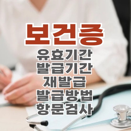보건증 유효기간, 발급기간, 재발급, 가격, 발급방법, 항문검사까지 총정리