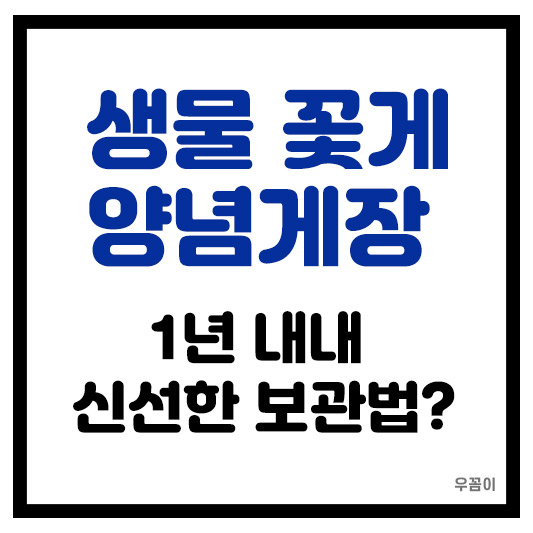 가을 생물 꽃게 양념게장 냉동 1년 내내 신선보관법