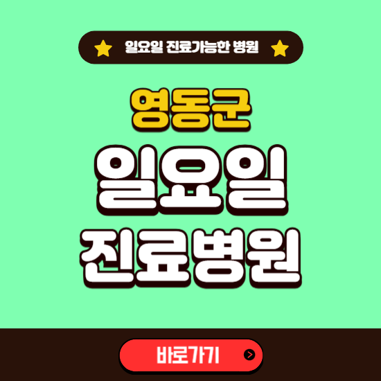 영동군 일요일 진료 가능한 병원 ❘ 주말 문여는 곳 총정리 (소아과, 내과, 안과, 치과, 피부과, 정형외과, 산부인과)