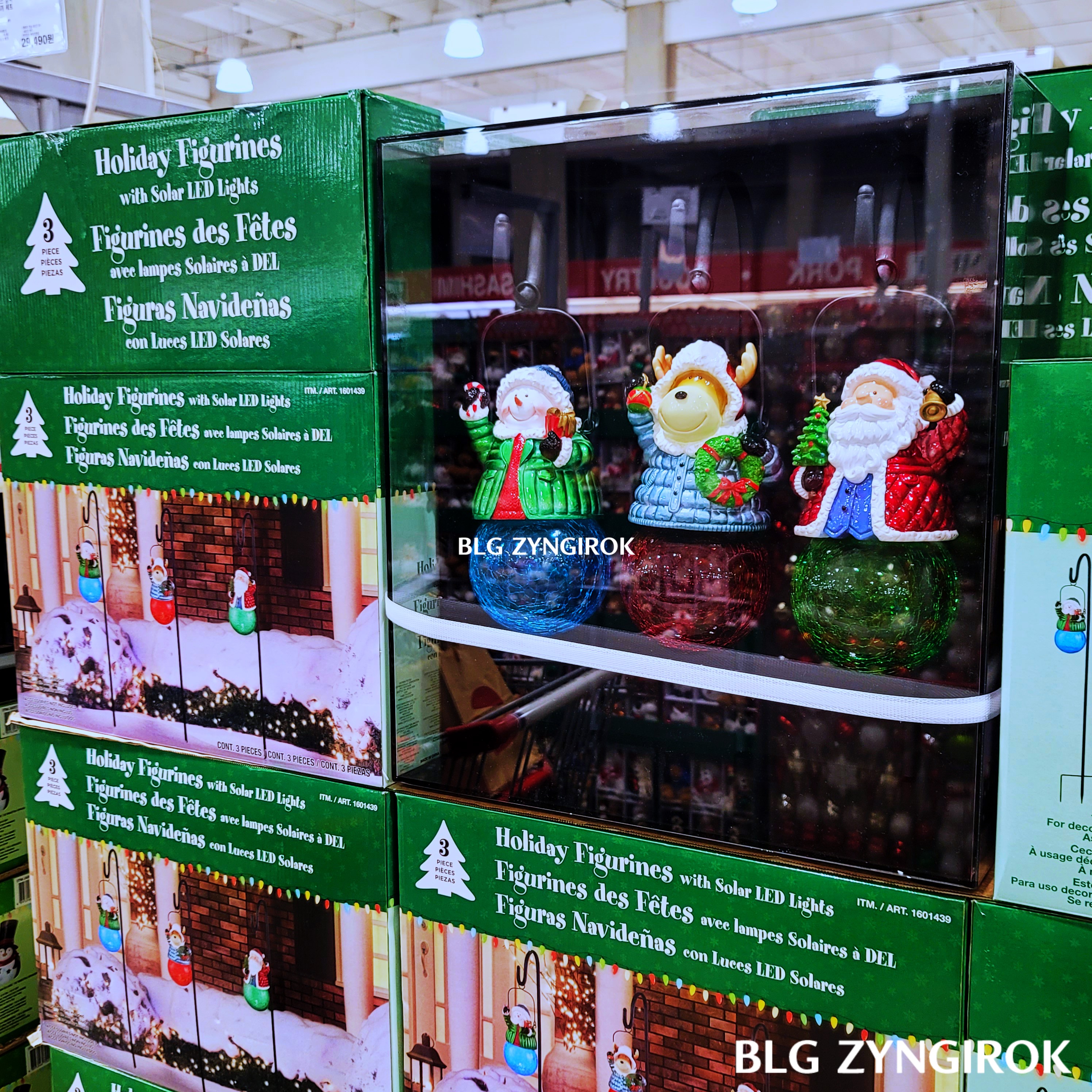 크리스마스-솔라라이트-모습이다.