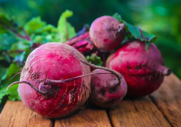 빈혈-좋은음식-비트