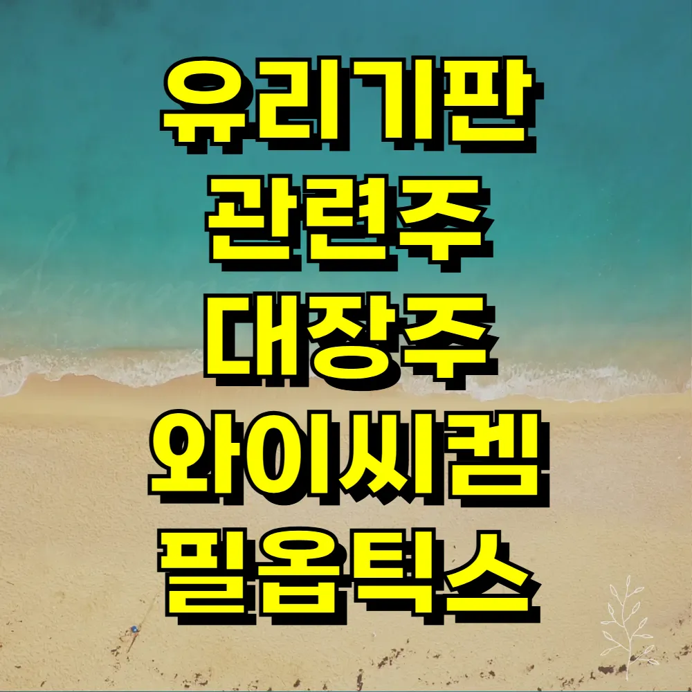 유리기판 관련주 대장주 와이씨켐 필옵틱스
